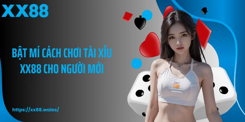 Bật mí cách chơi tài xỉu XX88 cho người mới